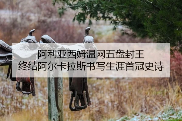 a-li-ya-xi-mu-wen-wang-wu-pan-feng-wang-zhong-jie-a-er-ka-la-si-shu-xie-sheng-ya-shou-guan-shi-shi-2-894.jpg